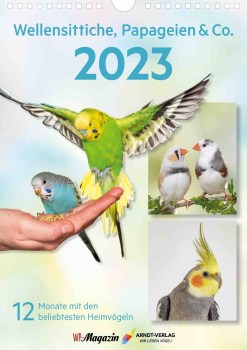 2023 Kalender_Wellensittiche_VS